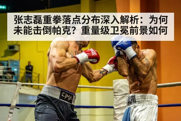 张志磊重拳落点分布深入解析:为何未能击倒帕克?重量级卫冕前景如何